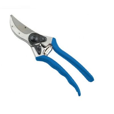Ανθεκτικό Carbon Steel Blade Garden Shear για ομαλό περικόπτημα στην κήπο